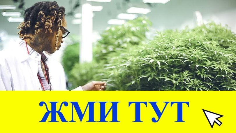 Купить наркотики в Талдоме